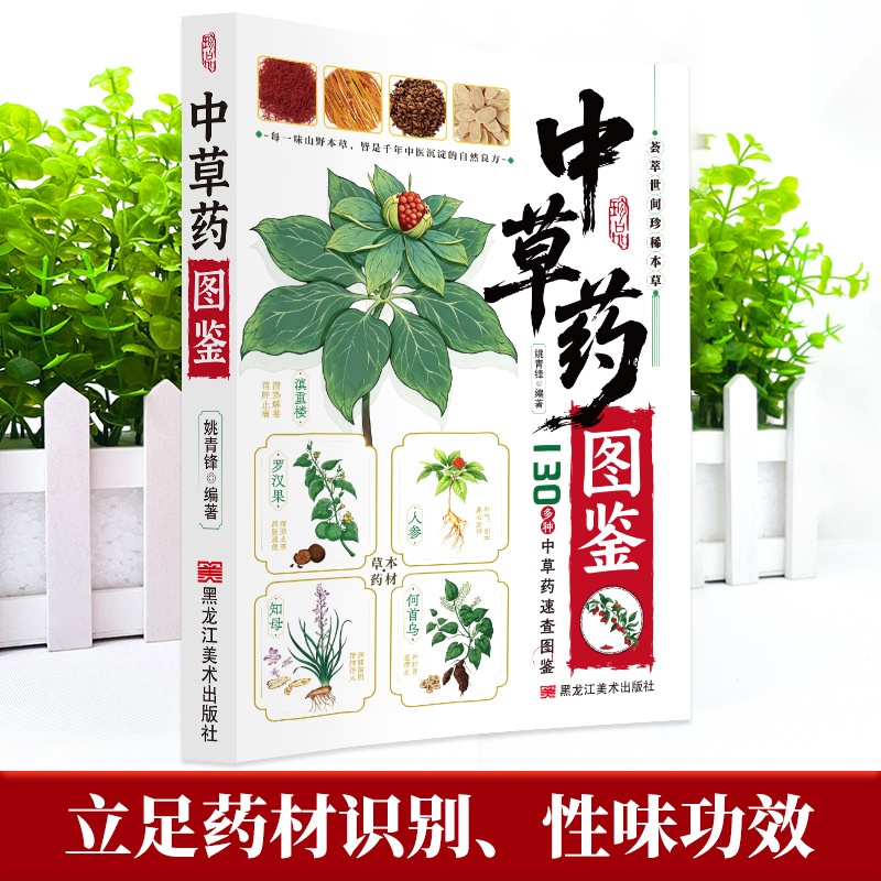 คู่มือภาพประกอบ สมุนไพรจีน 130 - Herbal Holistic Wellness บทวิจารณ์และราคา
