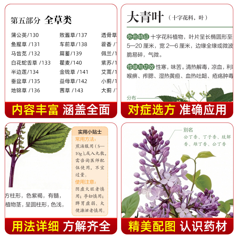 คู่มือภาพประกอบ สมุนไพรจีน 130 - Herbal Holistic Wellness บทวิจารณ์และราคา